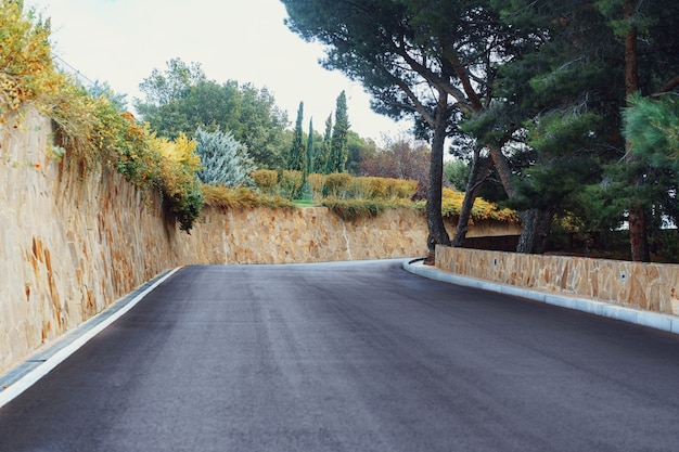 Picturesque concrete slope walkway with plants on the sides,