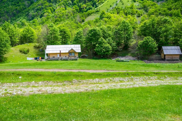 Picturesque green meadows near the big high mountains