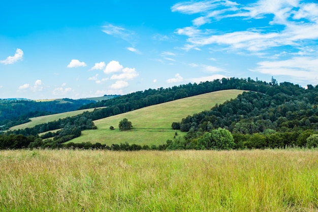 Picturesque hills view of idyllic hills with blooming meadows on the hill against the background of mountain peaks with coniferous forests on a beautiful sunny day with blue sky and clouds in spring