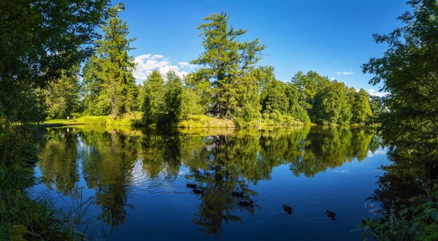 A picturesque lake shore with a mirror like surface of water