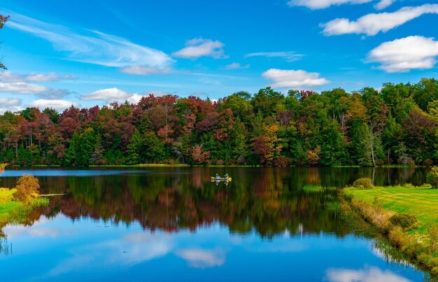 Picturesque landscape featuring a vibrant body of water surrounded by a lush forest