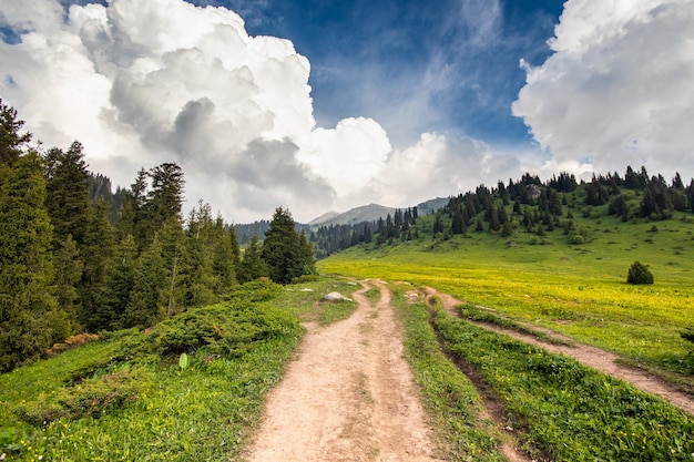 Picturesque landscape in mountains of Almaty in Ile Alatau national park