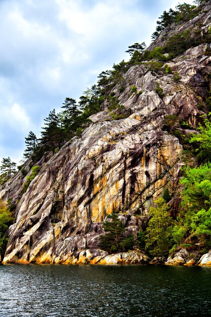 絵のように美しい風景の岩、木、海