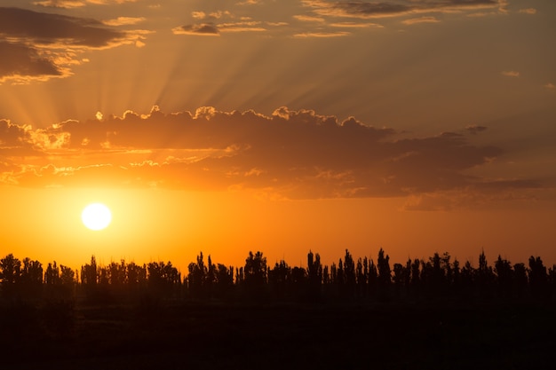 Picturesque landscape scene and sunrise above road