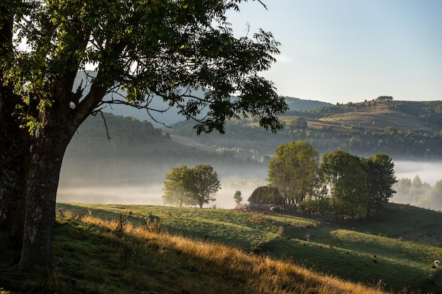 Picturesque landscape with old traditional house on hill, nature quiet place.