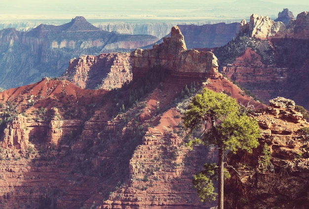 Picturesque landscapes of the Grand Canyon