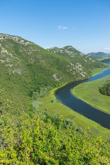 Foto il pittoresco fiume serpeggiante scorre tra le montagne verdi