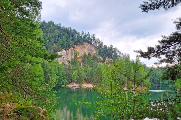 A picturesque mountain lake in the mountains Green forest