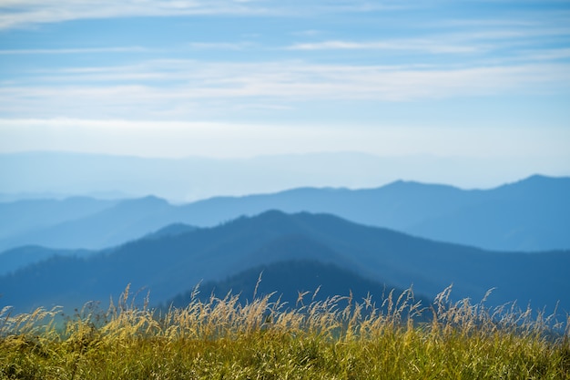 The picturesque mountain landscape