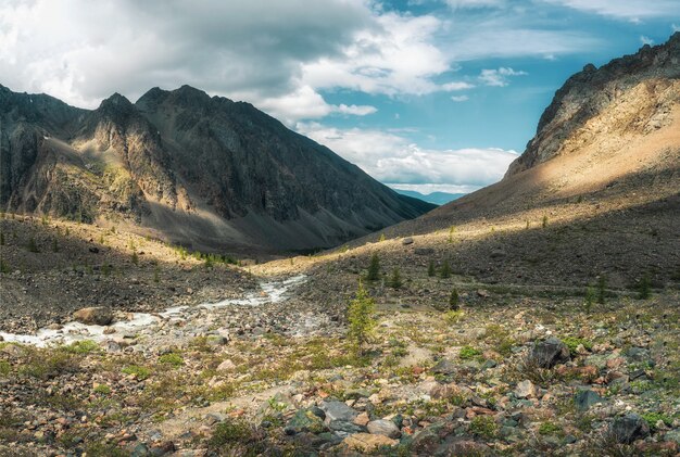 Picturesque mountain valley. Colorful sunny green landscape with river and silhouettes of big rocky mountains and epic deep gorge. Altai Mountains.