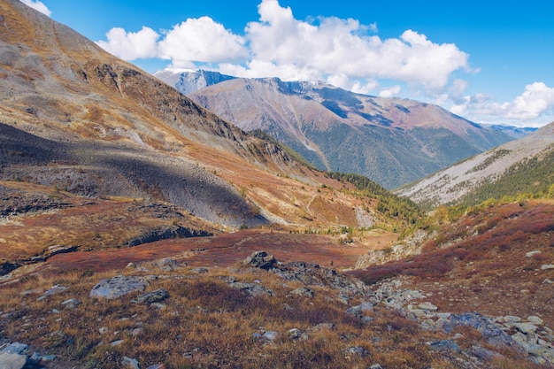 絵のように美しい山の谷の美しい景色素晴らしい黄金色の秋の色山脈アルタイ山脈