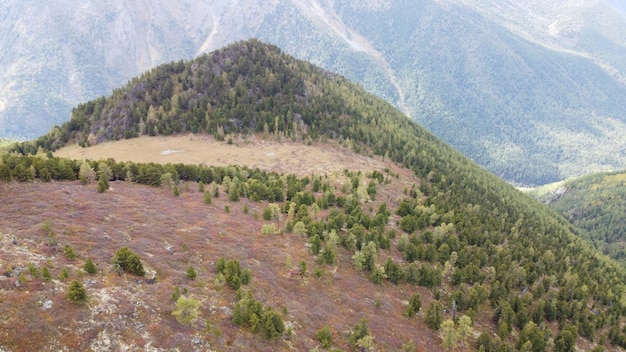 写真 絵のように美しい山の谷の美しい景色素晴らしい黄金色の秋の色山脈アルタイ山脈