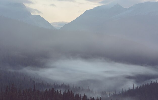 Photo picturesque mountain view in the canadian rockies in summer season