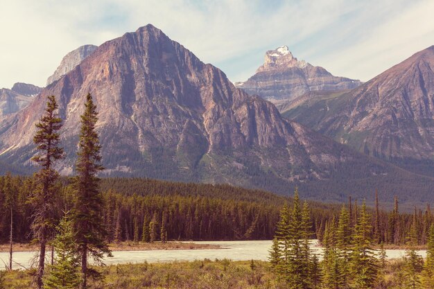 Picturesque mountain view in the Canadian Rockies in summer season