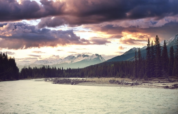 Picturesque mountain view in the Canadian Rockies in summer season