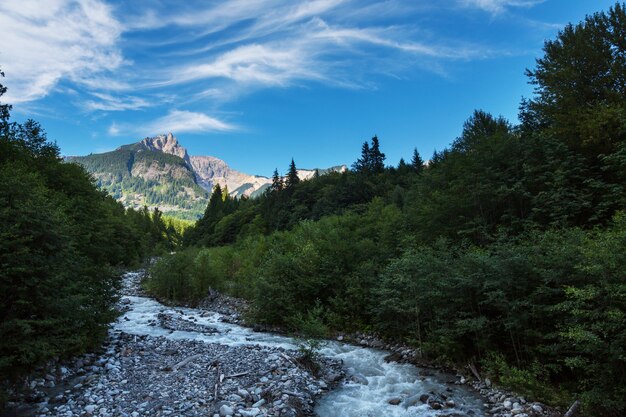 夏のカナディアンロッキーの美しい山の景色