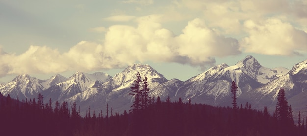 Photo picturesque mountain view in the canadian rockies in summer season