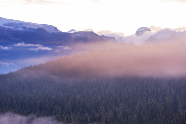 여름철 캐나다 로키 산맥의 그림 같은 마운틴 뷰