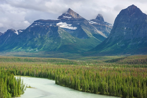 Picturesque mountain view in the Canadian Rockies in summer season