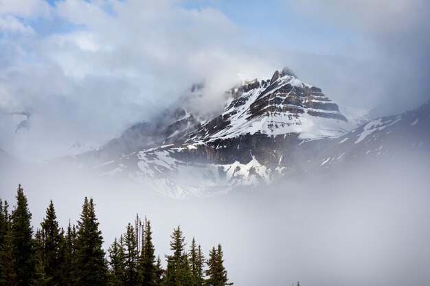 Photo picturesque mountain view in the canadian rockies in summer season