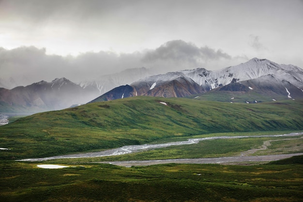 여름에 알래스카의 그림 같은 산. 눈 덮인 대산괴, 빙하 및 바위 봉우리.