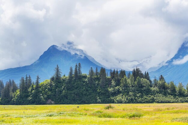 Picturesque Mountains of Alaska in summer. Snow covered massifs, glaciers and rocky peaks.