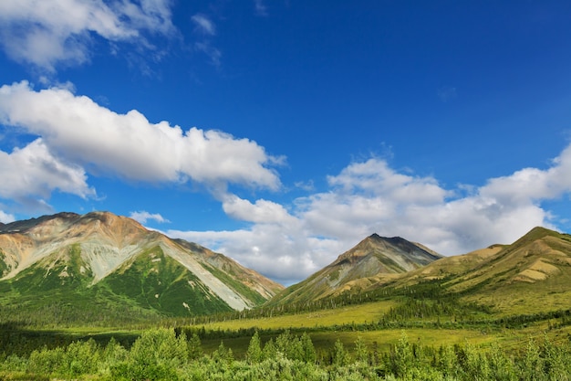 Picturesque Mountains of Alaska.