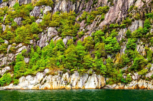 Picturesque mountainside densely covered with trees