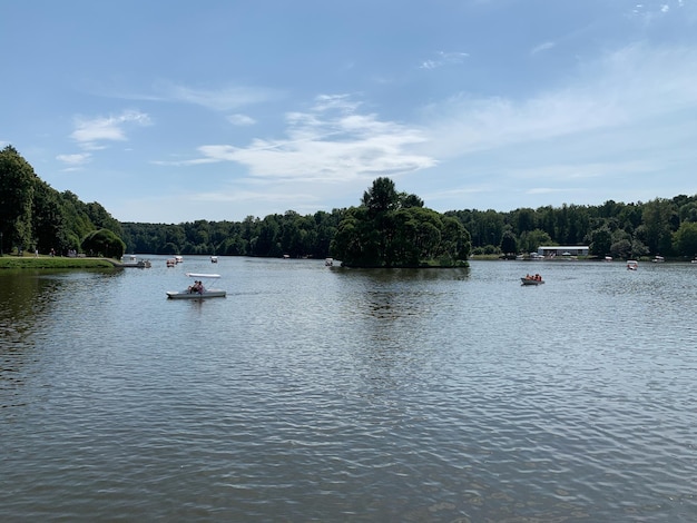 写真 森の中の国立自然公園の休憩所にある水湖のある絵のように美しい自然公園