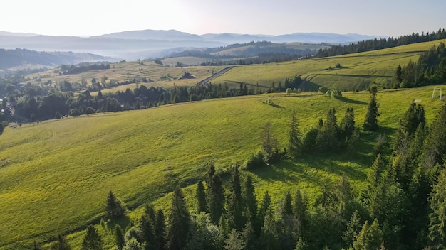 Picturesque Northern slopes of Mount Gimba in the Ukrainian Carpathians