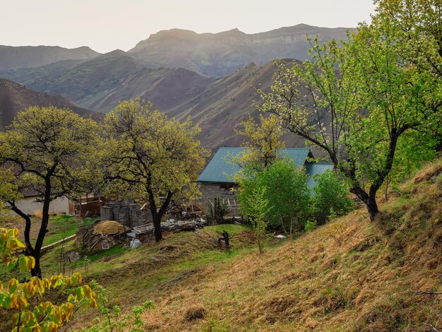 山の村の絵のように美しい古い春の庭。ダゲスタンの古い村。ダゲスタンの村の田舎の石造りの家。ロシア。