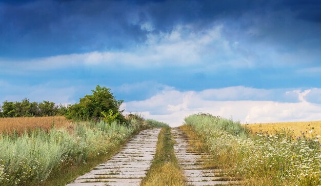 Un pittoresco paesaggio rurale con una strada in mezzo a un campo