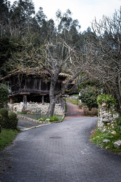 Photo picturesque rural scene paved path meandering amid verdant trees with quaint asturian cabin nearby