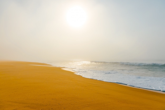 Picturesque scenery seascape of foggy misty abandoned wild beach. Art beautiful landscape of deserted cost with ocean waves.