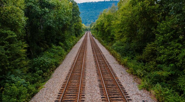 Picturesque scenery of straight empty railroad tracks located amidst lush green forest in mountain