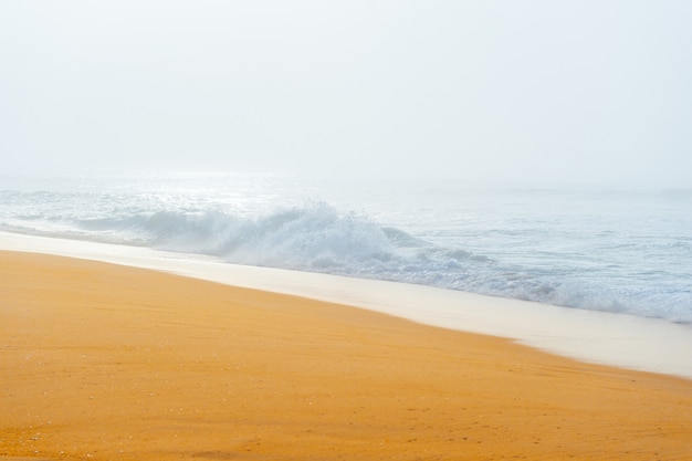 Picturesque scenic seascape with misty beach.