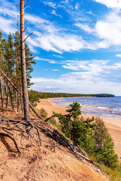 The picturesque shore of Lake Onega Forest rocks and beach Northern nature Traveling in Russia