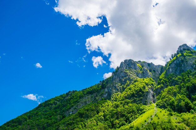 Picturesque snowcapped peaks of high mountains