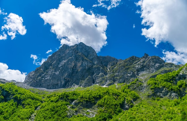 Picturesque snowcapped peaks of high mountains