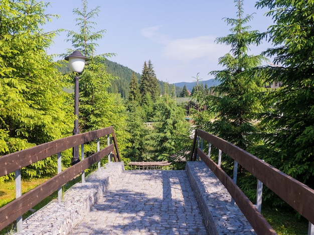 Picturesque stone path in Bukovel