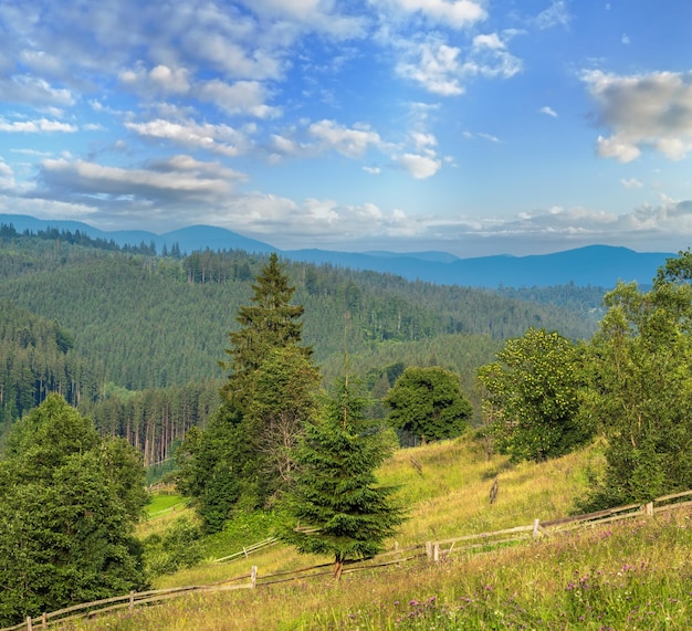 Picturesque summer Carpathian mountain countryside Ukraine