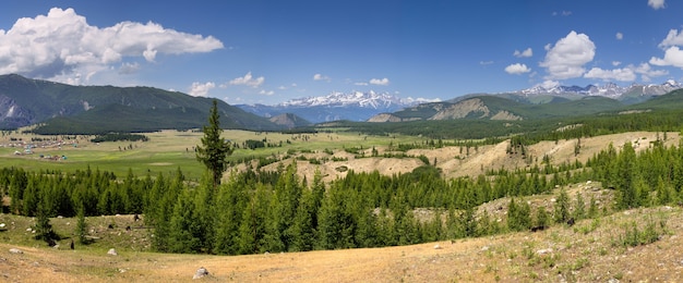 Picturesque valley in the Altay Mountains. Summer greens of meadows and forests, snow on the tops. Panorama.