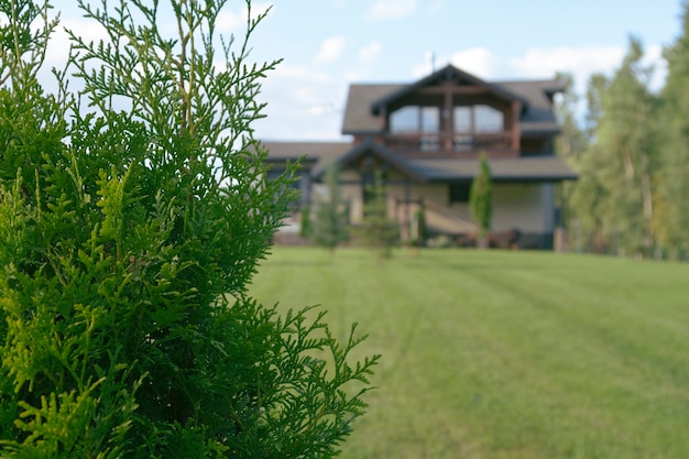 Picturesque view of the house through a tree, a bush, focus concept.