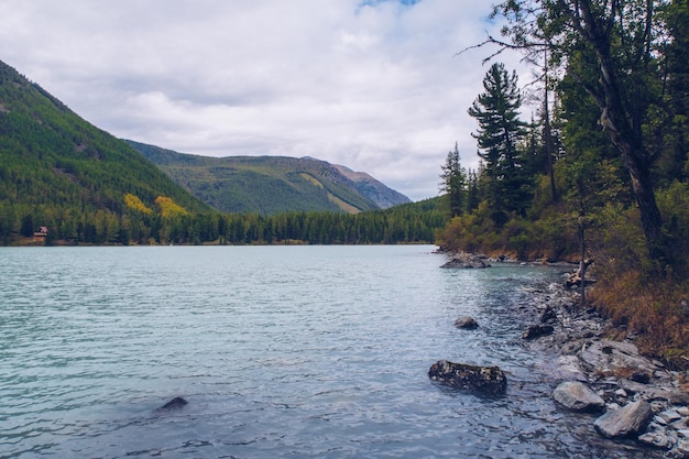 Picturesque view at Kucherla blue mountain river and mountain forest. Turqouise water of a glacier lake. Belukha national park, Altai republic, Siberia, Russia