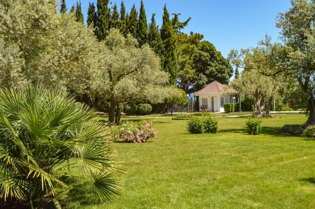 Picturesque view of the Mediterranean landscape with a beautiful lawn a small farmhouse and olive