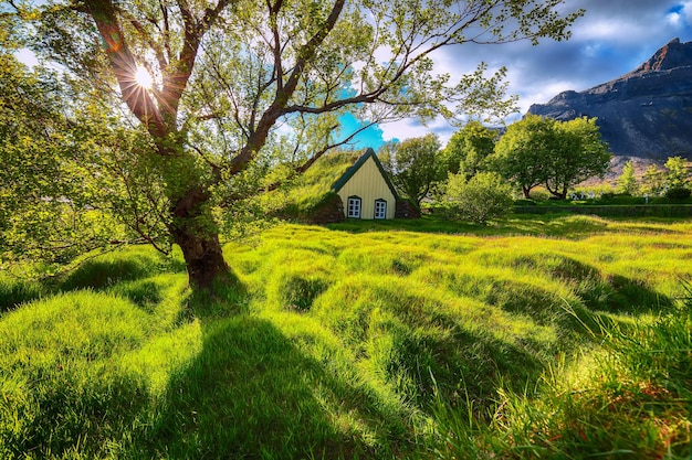 Photo picturesque view of turftop church hofskirkja during sunset