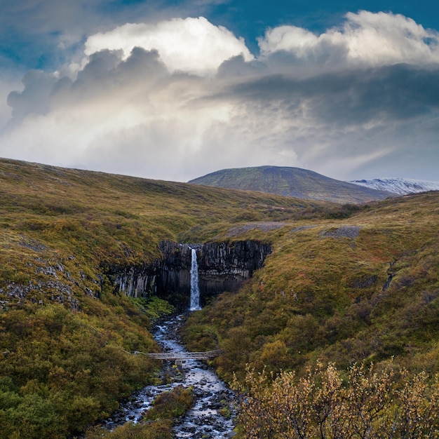 Pittoresca cascata svartifoss islandese per cascata nera circondata da colonne di basalto lavico scuro vista autunnale parco nazionale skaftafell islanda