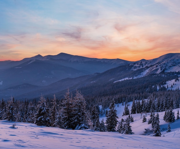 Picturesque winter alps sunrise Highest ridge of the Ukrainian Carpathians is Chornohora with peaks of Hoverla and Petros mountains View from Svydovets ridge and Dragobrat ski resort