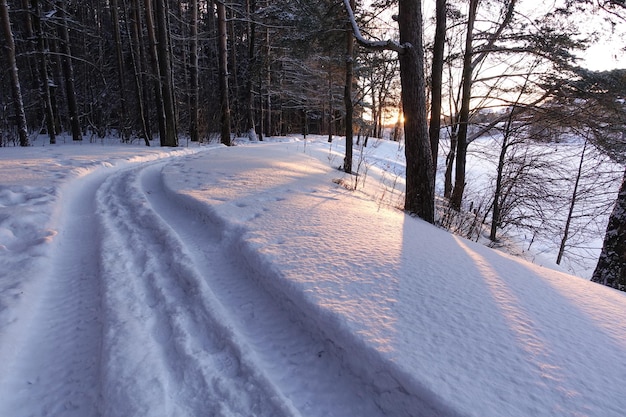 絵のように美しい冬の風景。雪に覆われた森の中の未舗装の道路。ロシア