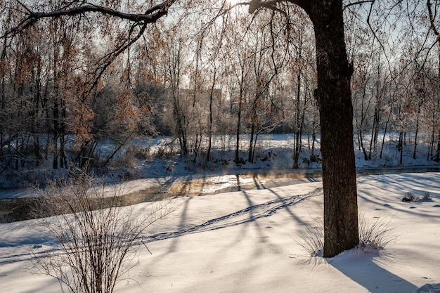 川のほとりにある公園の美しい冬の風景。雪の上の暖かい日光。輝く太陽。